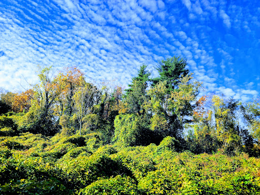 Nature Preserve «Welwyn Preserve», reviews and photos, 100 Crescent Beach Rd, Glen Cove, NY 11542, USA