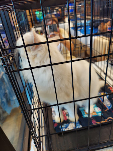 Pet Supply Store «PetSmart», reviews and photos, 300 N Congress Ave, Lake Park, FL 33403, USA