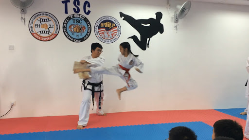TSC Taekwondo Academy (Malaysia)