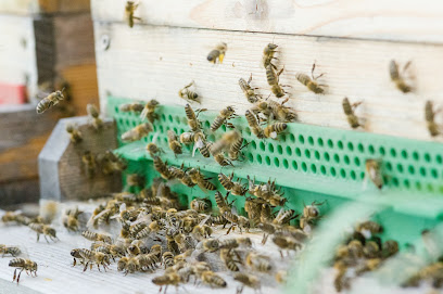 Bioimkerei Bienenwerk