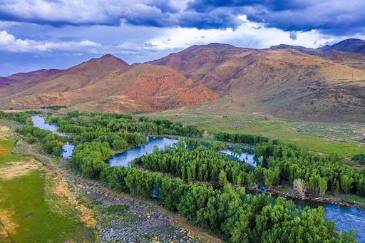 McCarran Ranch Preserve