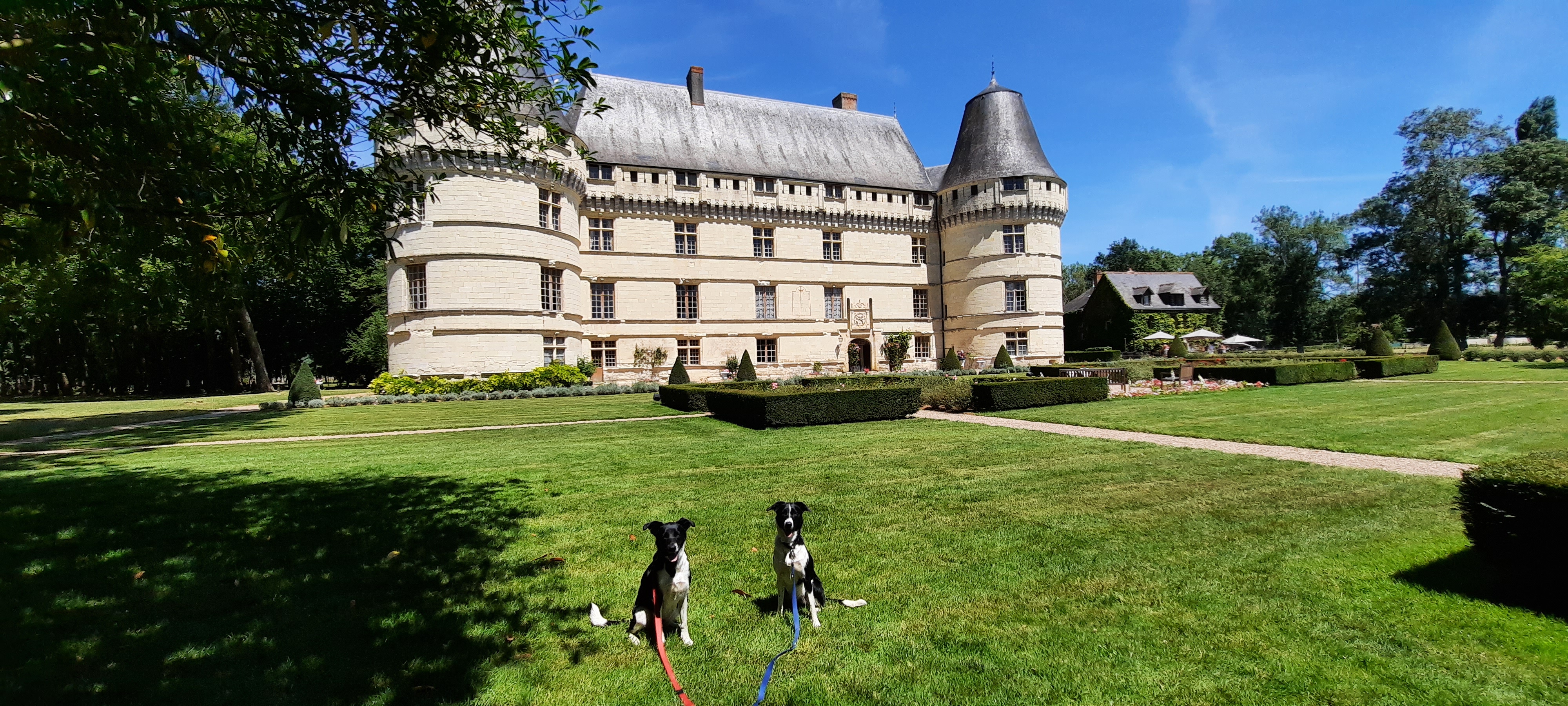 Photo n° 2 de l'avis de Jade.e fait le 12/07/2020 à 15:11