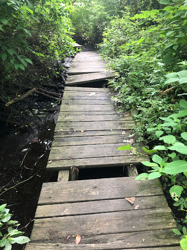 Nature Preserve «Brookside Preserve», reviews and photos, N Brookside Ave, Roosevelt, NY 11575, USA