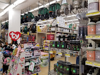 Frattallone's Hardware & Garden - Photo 6 - Car repair in St Paul, MN, St. Paul