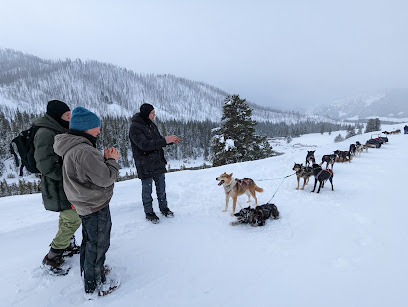 Jackson Hole Iditarod Sled Dog Tours