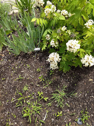 Tourist Attraction «Heigold House Facade», reviews and photos, 332-402 Frankfort Ave, Louisville, KY 40206, USA