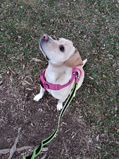 Park «Commons Park», reviews and photos, 2101 15th St, Denver, CO 80202, USA