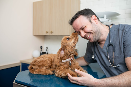 Bond Vet - Glenview image