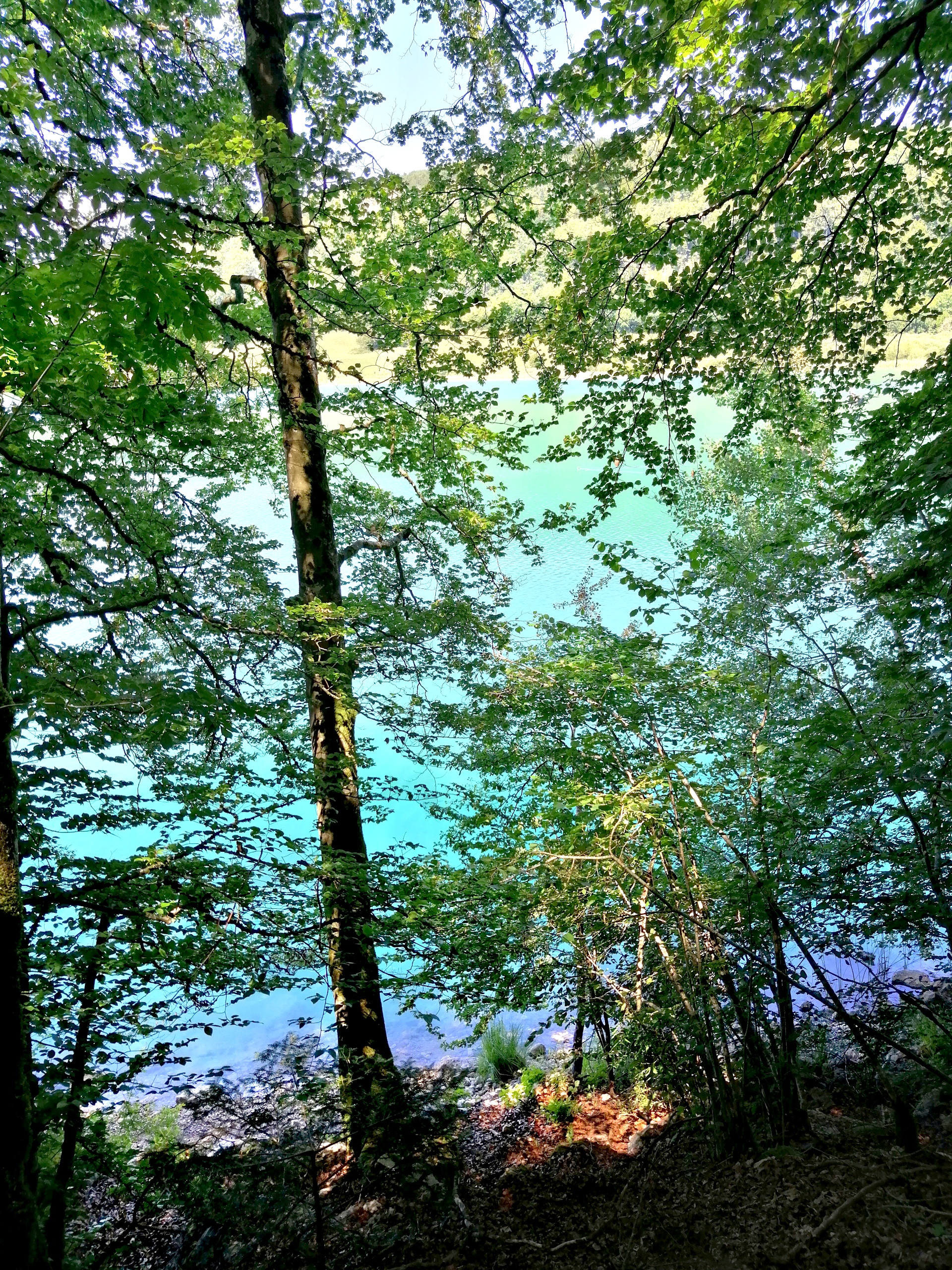 Photo n° 19 de l'avis de Au.i fait le 12/08/2020 à 16:57