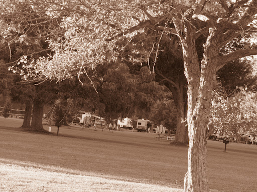 Park «Algonac State Park», reviews and photos, 8732 N River Rd, Marine City, MI 48039, USA