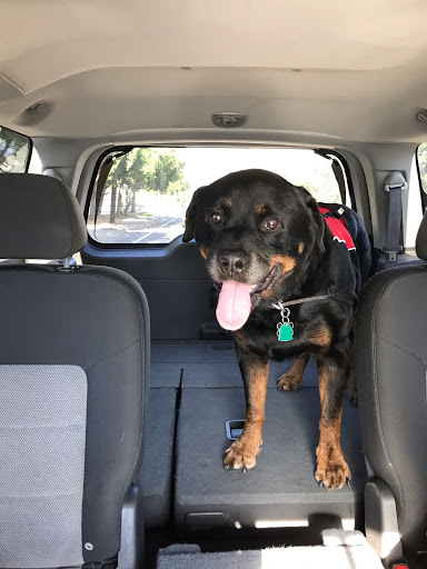 Used Car Dealer «Northstate Auto Brokers», reviews and photos, 1108 Park Ave, Chico, CA 95928, USA