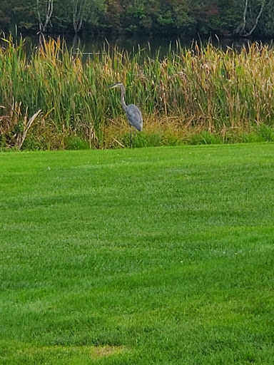 Golf Driving Range «Mountain Laurel Golf Club», reviews and photos, PA-534, White Haven, PA 18661, USA