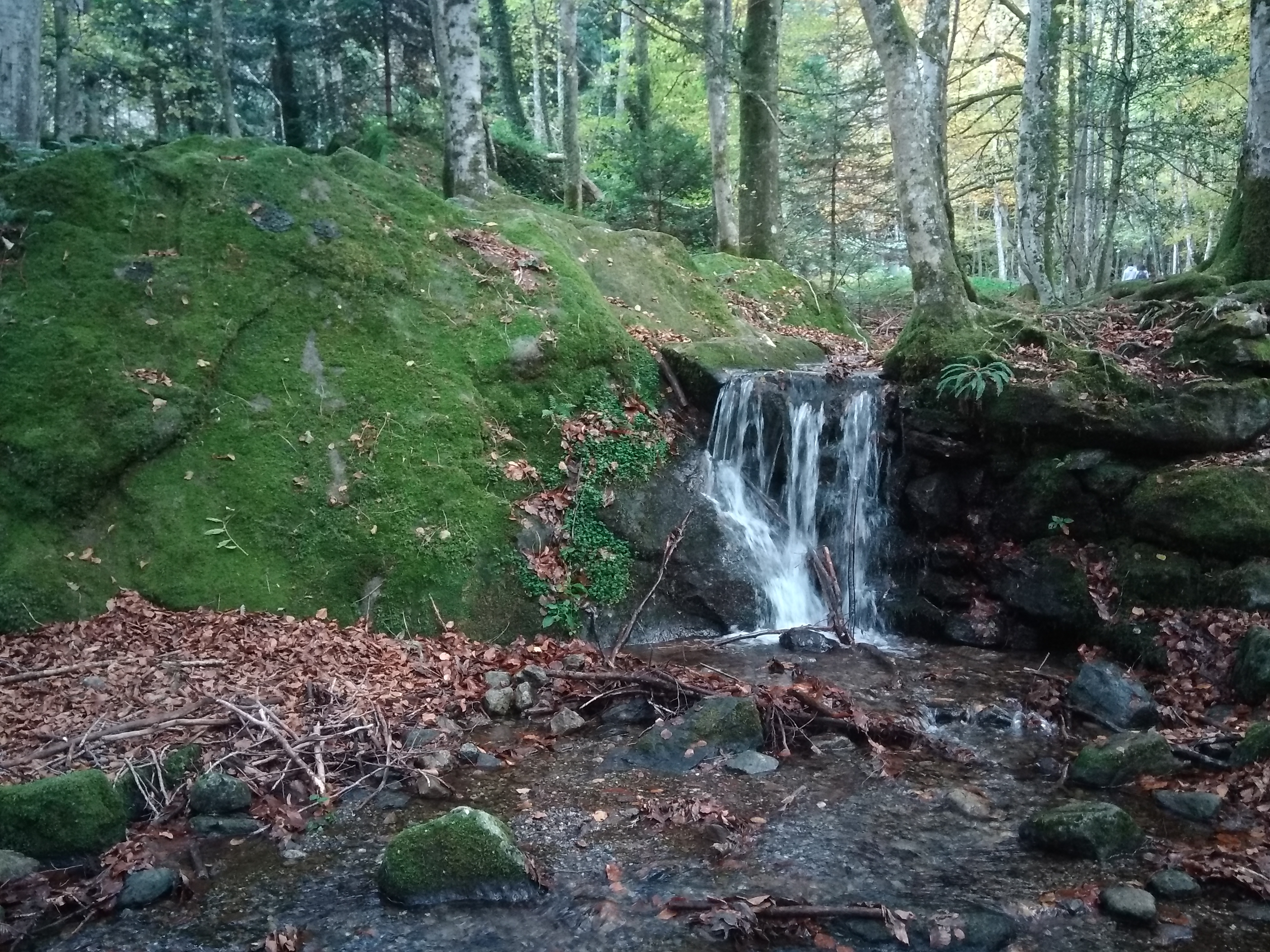 Photo n° 2 de l'avis de Isa.o fait le 03/01/2020 à 21:05