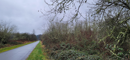 Park «Machias Trailhead Park», reviews and photos, 1626 Virginia St, Snohomish, WA 98290, USA