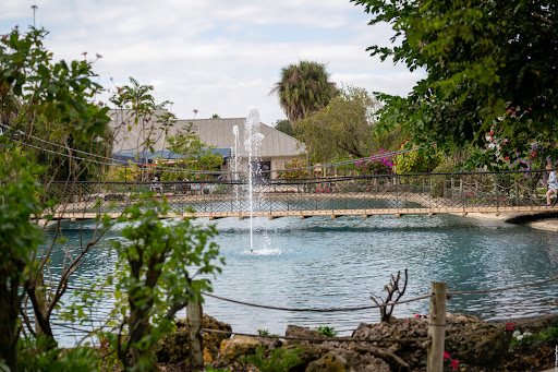 Tourist Attraction «Butterfly World», reviews and photos, 3600 W Sample Rd, Coconut Creek, FL 33073, USA