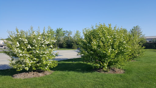 Used Auto Parts Store «Elgin Super Auto Parts», reviews and photos, 270 Willard Ave, Elgin, IL 60120, USA