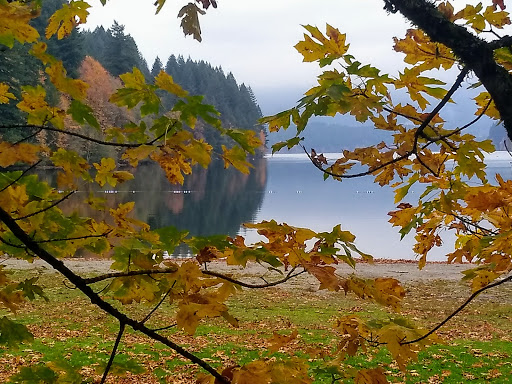 Museum «Lelooska Foundation», reviews and photos, 165 Merwin Village Rd, Ariel, WA 98603, USA