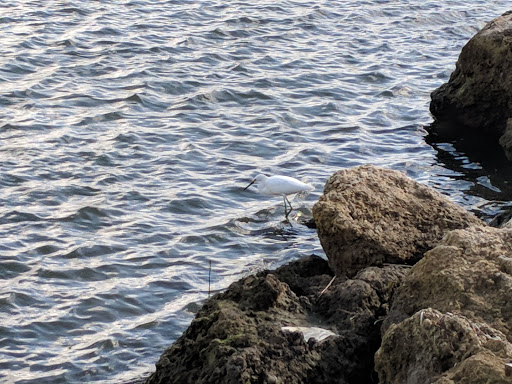 Marina «Fort Pierce City Marina», reviews and photos, 1 Avenue A, Fort Pierce, FL 34950, USA