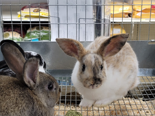 Animal Feed Store «IFA Country Stores», reviews and photos, 1071 Pioneer Rd, Draper, UT 84020, USA