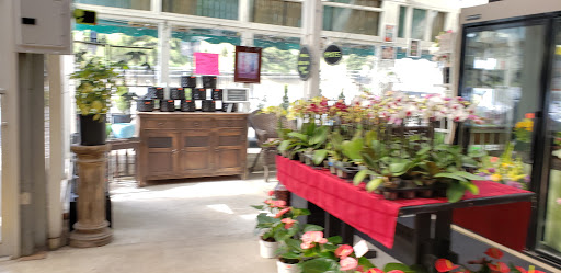 Garden Center «Repetto Florist and Nursery», reviews and photos, 12331 San Mateo Rd, Half Moon Bay, CA 94019, USA