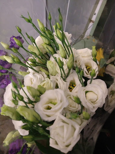 Florist «Grace Harper Florist, Inc.», reviews and photos, 4135 Woodward Ave, Detroit, MI 48201, USA