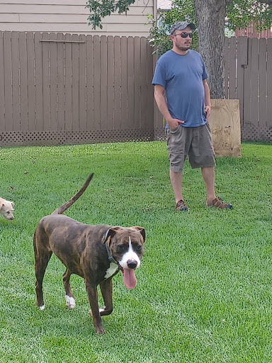 Animal Protection Organization «Humane Society-Black Hills», reviews and photos