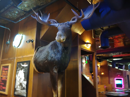 Live Music Venue «Blue Moose Tap House», reviews and photos, 211 Iowa Ave, Iowa City, IA 52240, USA