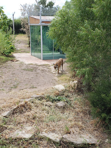 Zoo «Sedgwick County Zoo», reviews and photos, 5555 Zoo Boulevard, Wichita, KS 67212, USA