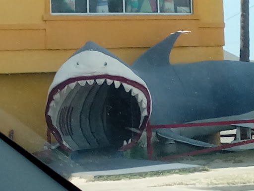 Discount Store «Dollar General», reviews and photos, 2286 TX-361, Ingleside, TX 78362, USA