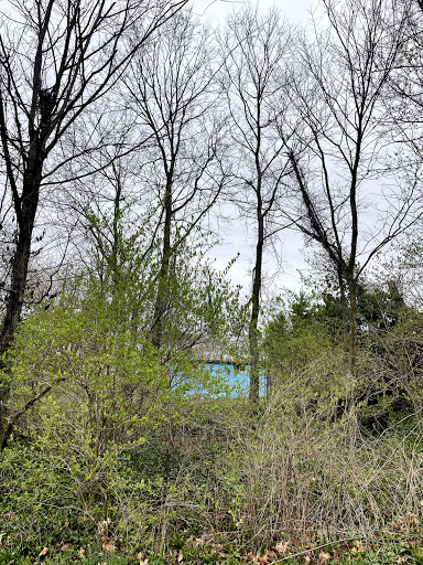 Park «Florence Nature Park», reviews and photos, 7200 Parkview Dr, Florence, KY 41042, USA