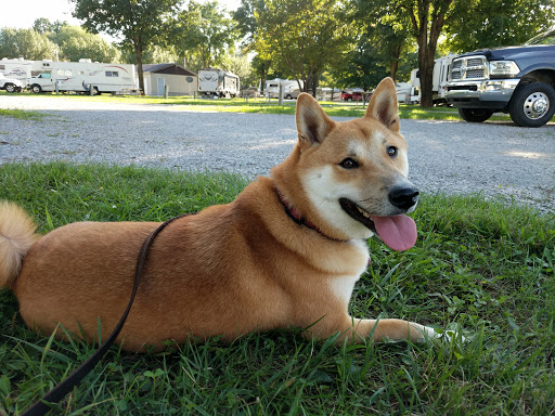 RV Park «Clarksville R.V. Park and Campground», reviews and photos, 1270 Tylertown Rd, Clarksville, TN 37040, USA