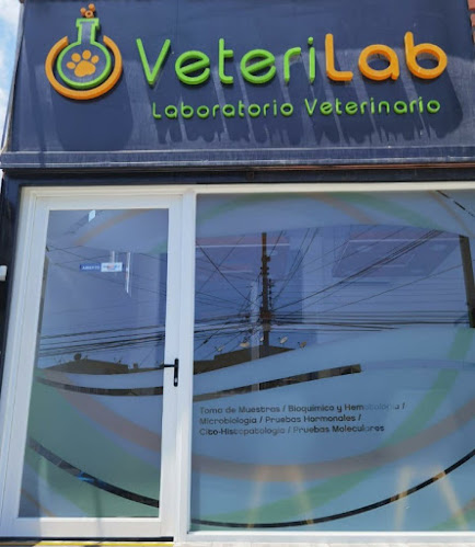 Veterilab Laboratorio Veterinario - Veterinario