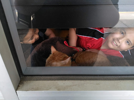 Pet Store «Pet Valu», reviews and photos, 1729 Quentin Rd, Lebanon, PA 17042, USA