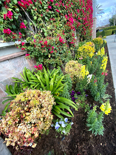 Mexican Restaurant «El Pollo Loco», reviews and photos, 4290 E 4th St, Ontario, CA 91764, USA