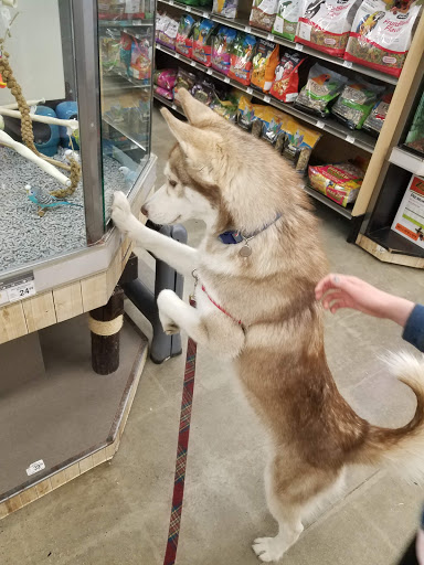 Pet Supply Store «Petco Animal Supplies», reviews and photos, 190 Quality Dr, Hooksett, NH 03106, USA