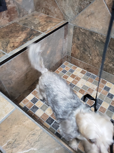 Pet Supply Store «Pet Valu», reviews and photos, 411 Valley Brook Ave, Lyndhurst, NJ 07071, USA