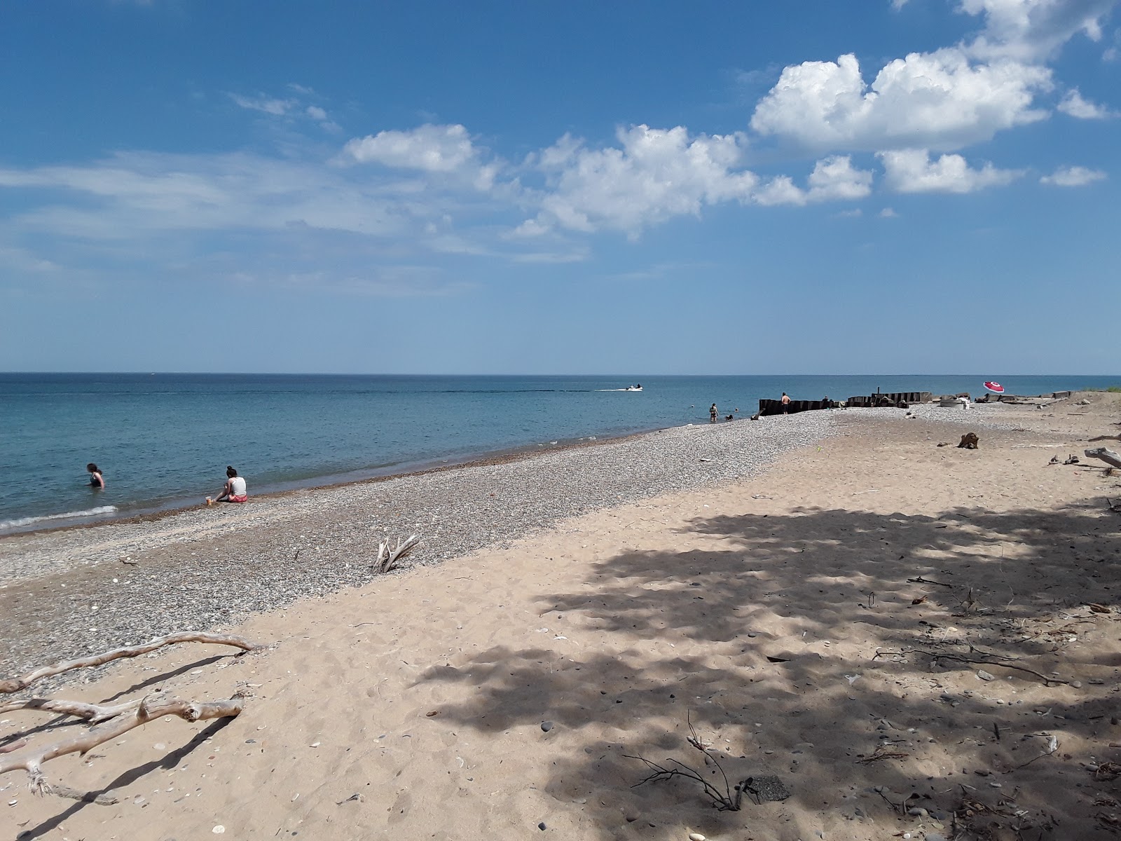 Isherwood beach的照片 带有灰砂和卵石表面