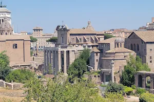 Palatine Hill image