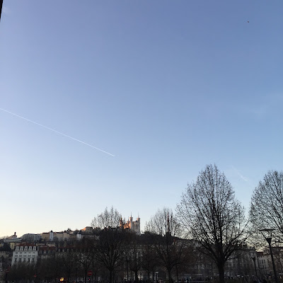 Marie Laporte IBCLC / Diététicienne Nutritionniste/ Consultante en Lactation/Visio / Lyon à Lyon