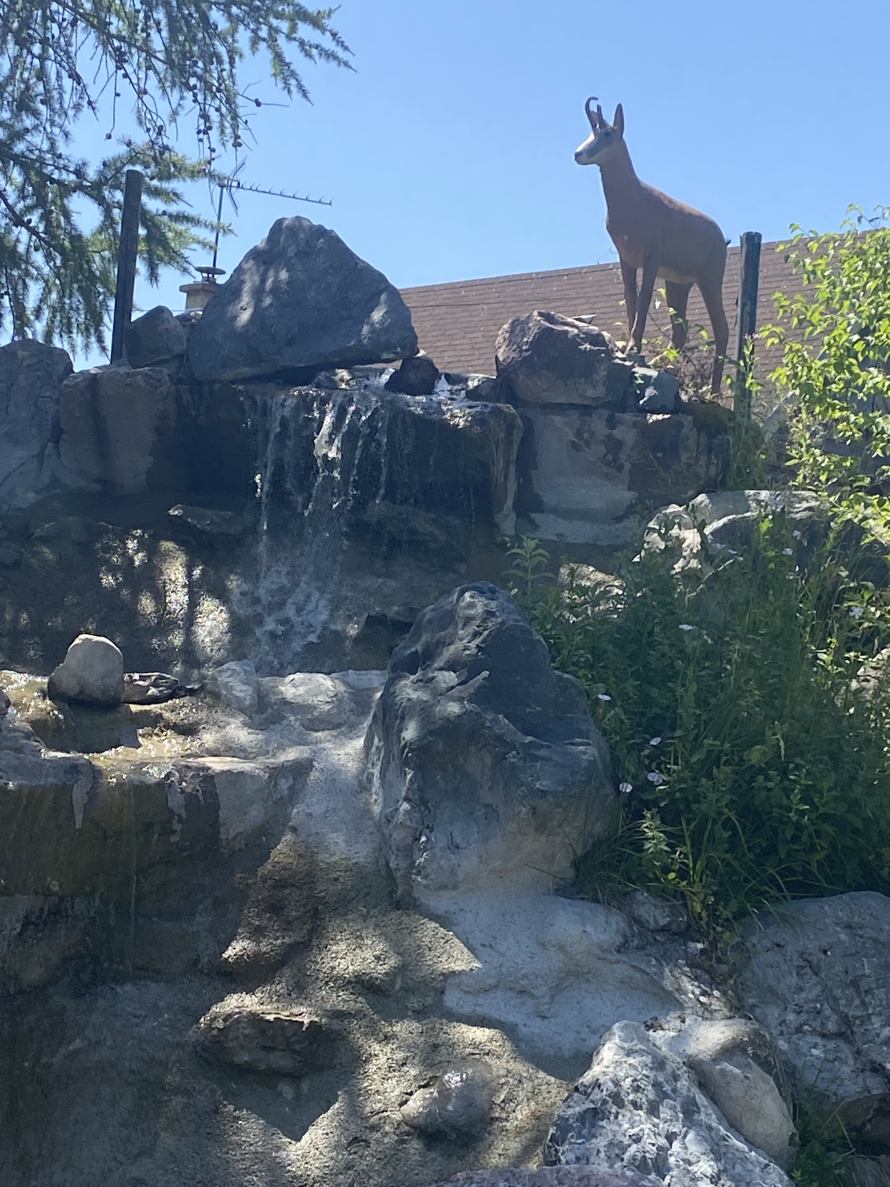 Photo n° 1 de l'avis de Johann.e fait le 09/07/2023 à 11:41