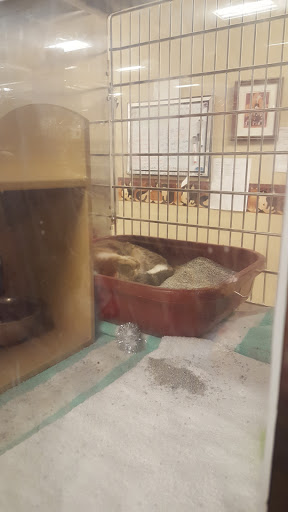 Pet Supply Store «PetSmart», reviews and photos, 1559 Merritt Blvd, Dundalk, MD 21222, USA