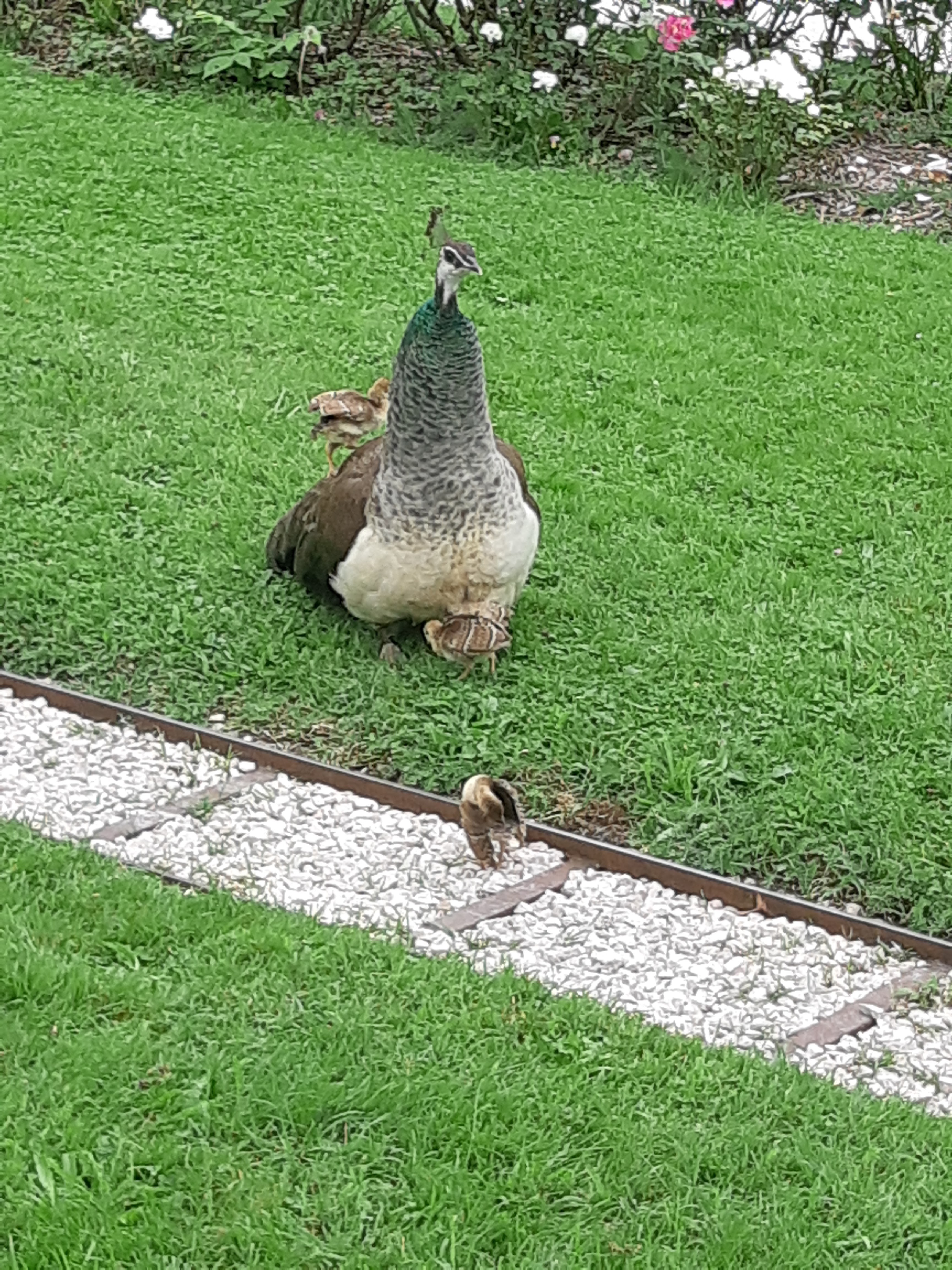 Photo n° 2 de l'avis de JÉJÉ. fait le 15/10/2017 à 11:17