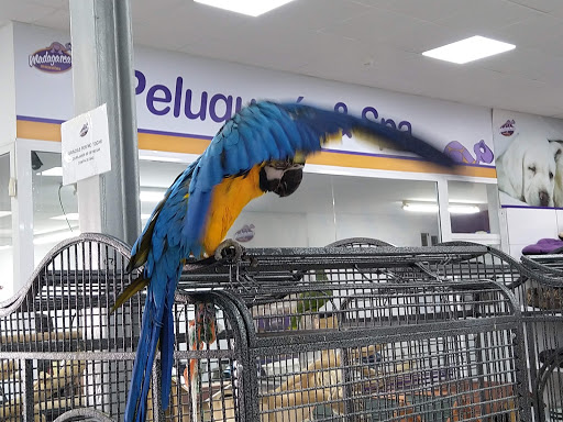 Clínica Veterinaria Madagascar Mascotas en Alicante