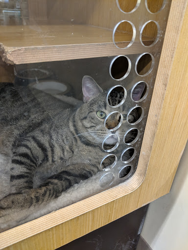 Pet Supply Store «Petco Animal Supplies», reviews and photos, 205 SE 5th St, Ames, IA 50010, USA