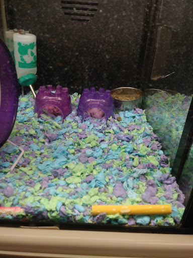 Pet Supply Store «PetSmart», reviews and photos, 8204 Leesburg Pike, Vienna, VA 22182, USA