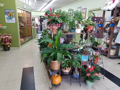 Florist «Mandarin Orchid House», reviews and photos, 3137 Stockton Hill Rd, Kingman, AZ 86401, USA