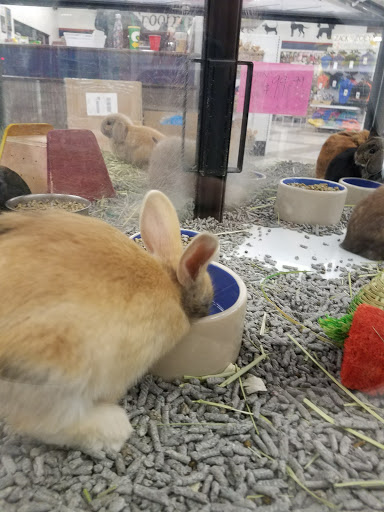 Pet Store «Super Pets», reviews and photos, 9403 E Las Tunas Dr, Temple City, CA 91780, USA