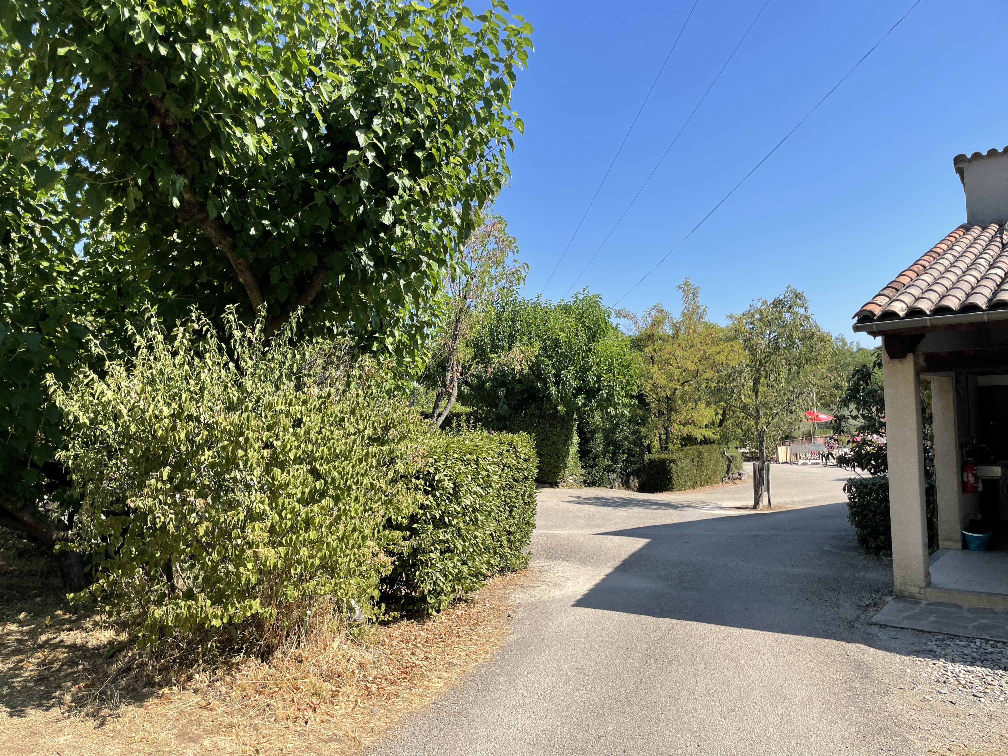 Photo n° 9 de l'avis de M..i fait le 17/08/2022 à 08:58