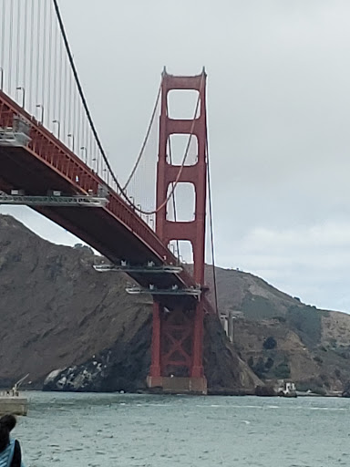 Vantigo Tours image