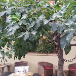 Photo n°4 de l'avis de Sam.r fait le 13/09/2023 à 13:56 sur le  Vinosteria Antirouille à Aymavilles